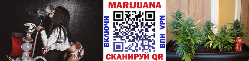 Бошки марихуана план  Купить где  Курильск 